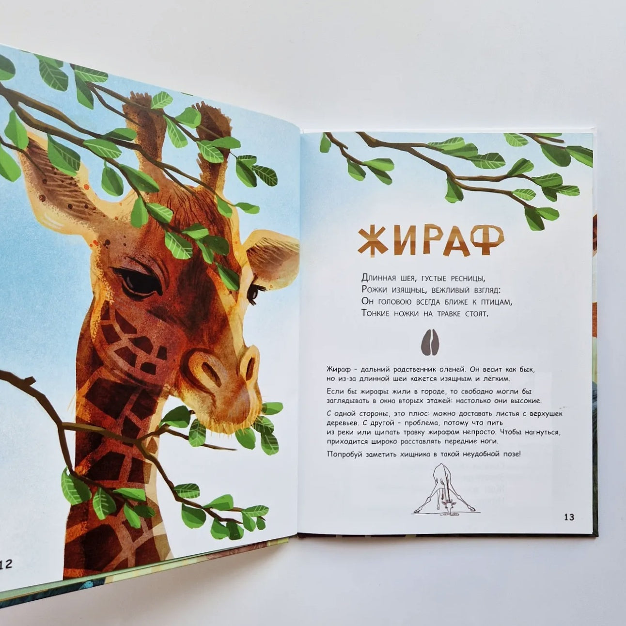 Они такие разные!