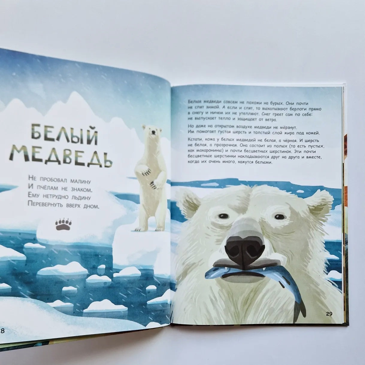 Они такие разные!