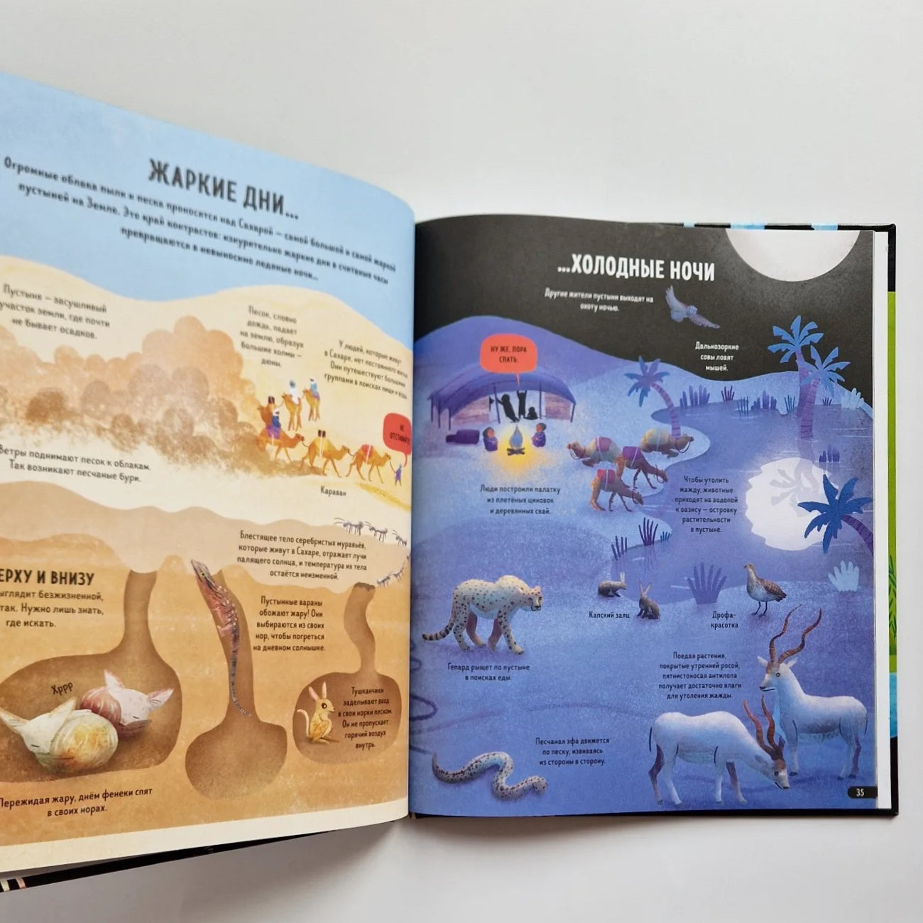 Планета Земля. Энциклопедия