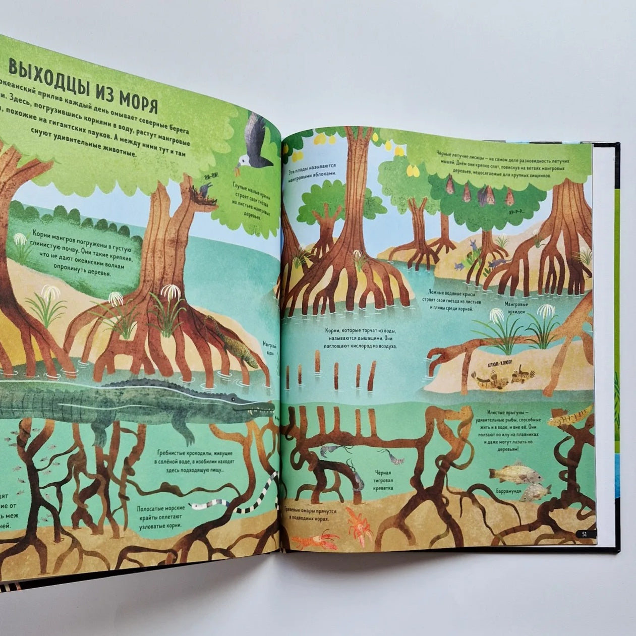 Планета Земля. Энциклопедия