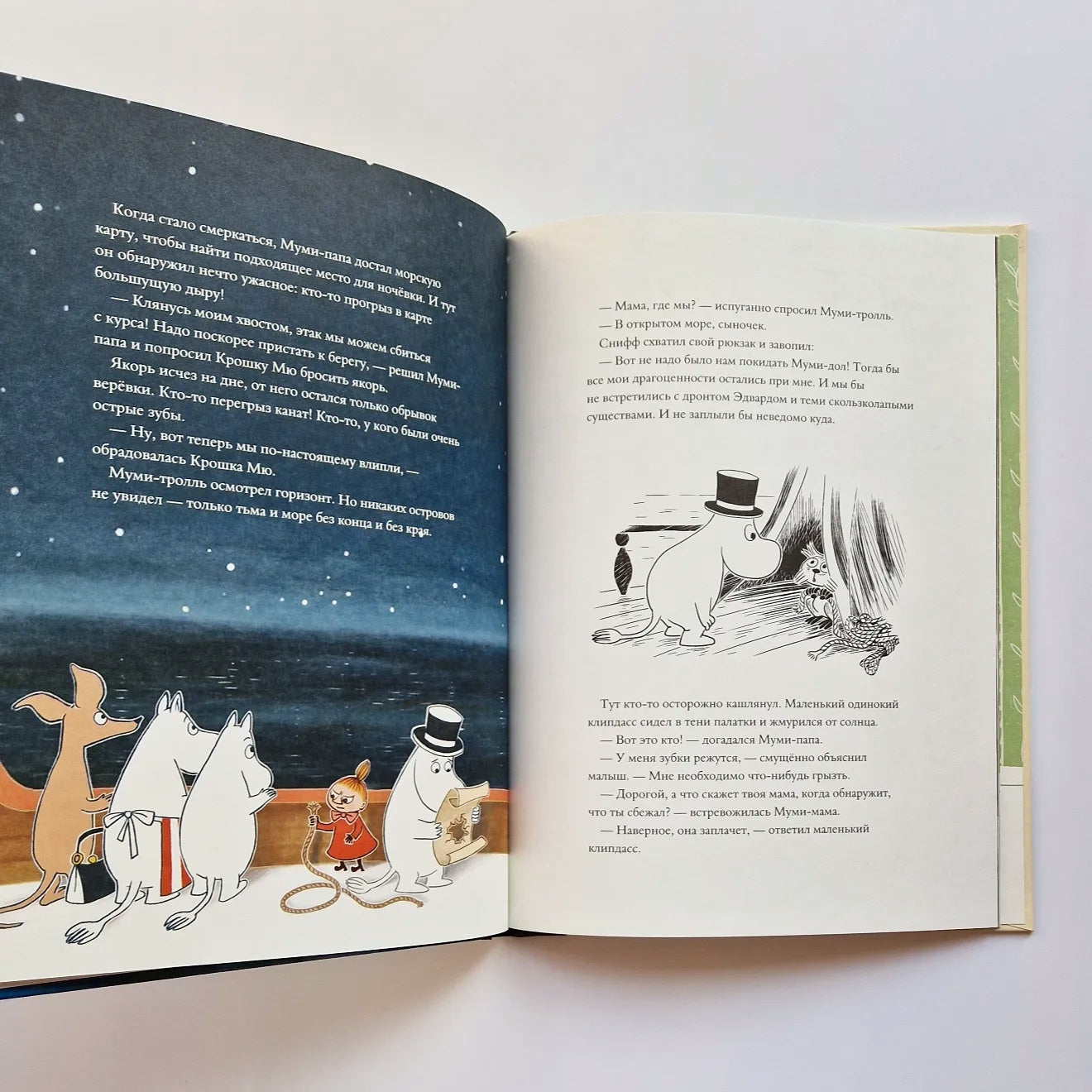 Moomins and the Marine Orchestra