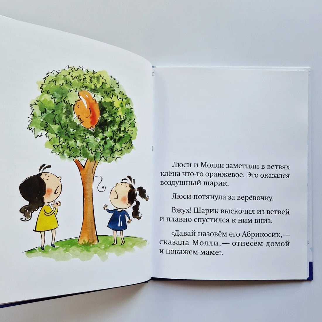 Ни за что не извинюсь!