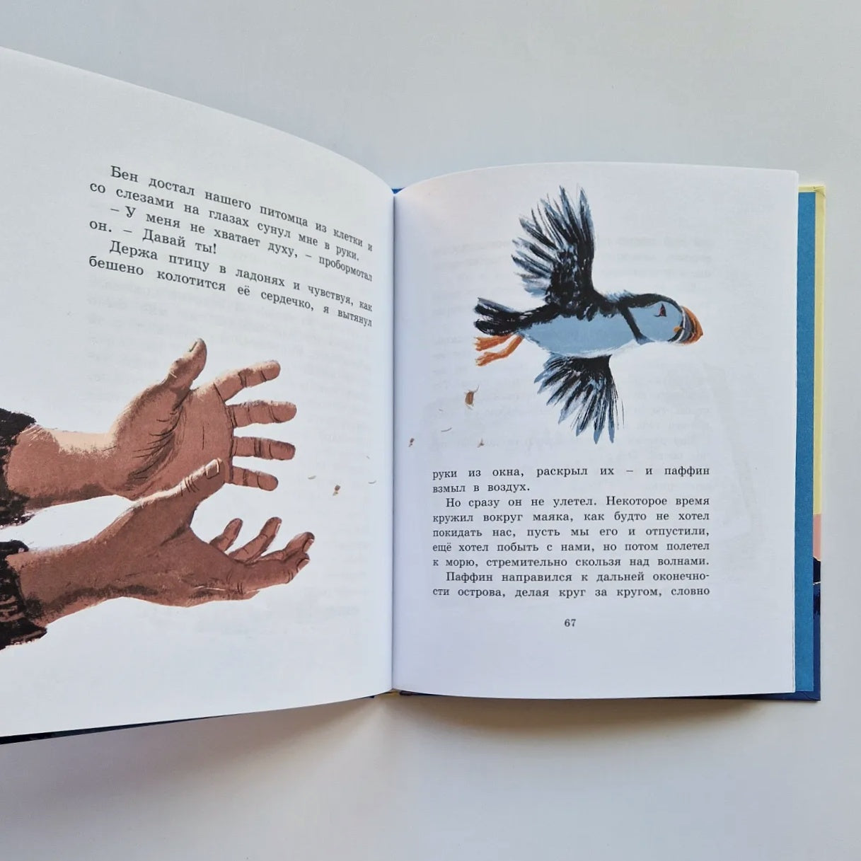 Хранитель острова Паффин