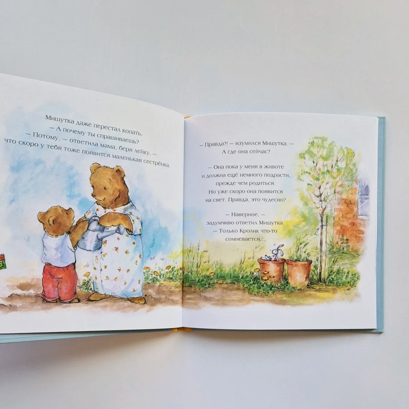 Мишутка-старший брат