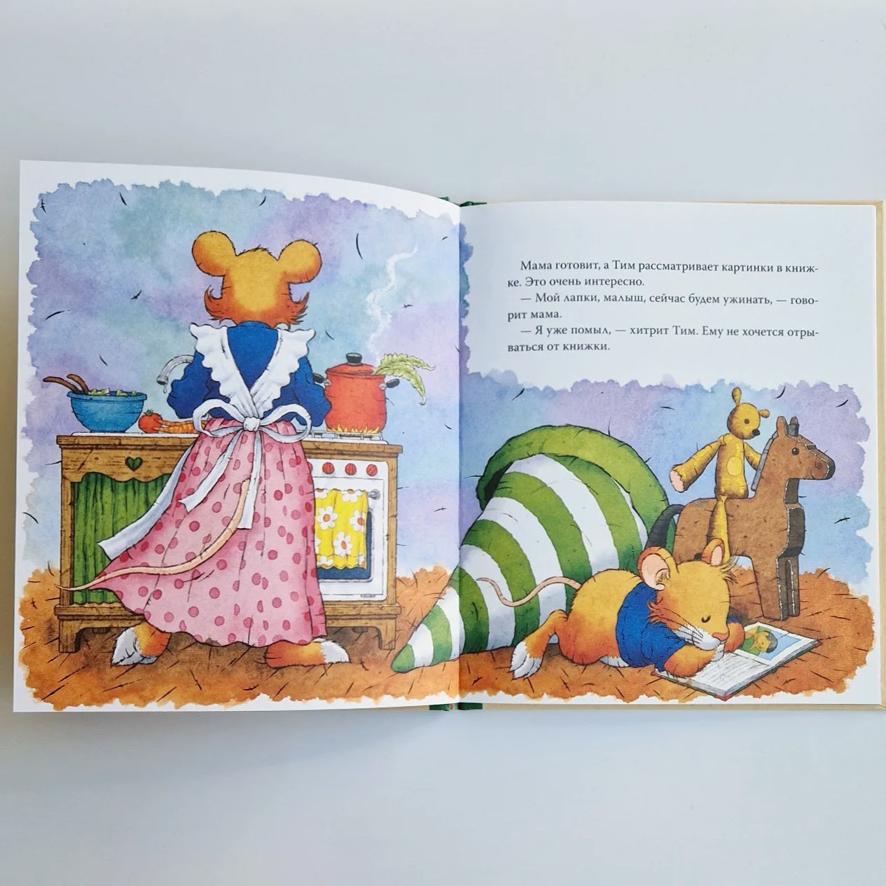 Tim the mouse is telling a lie