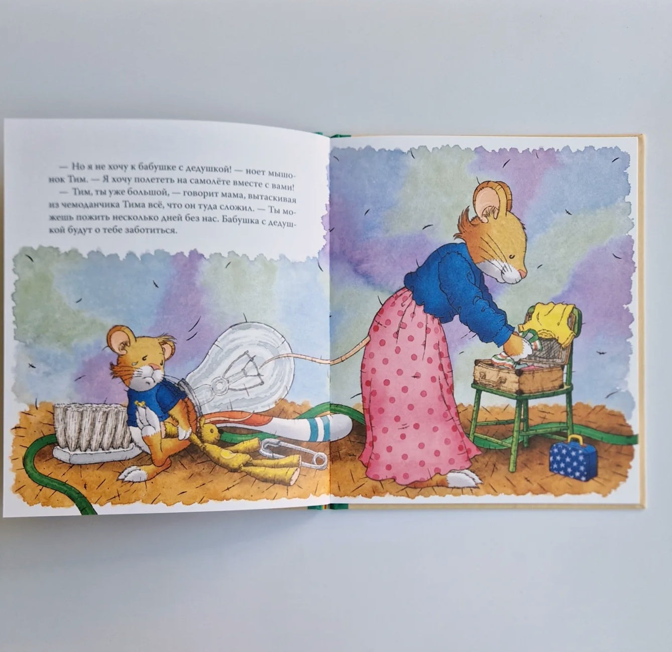 Tim the mouse goes to his grandmother