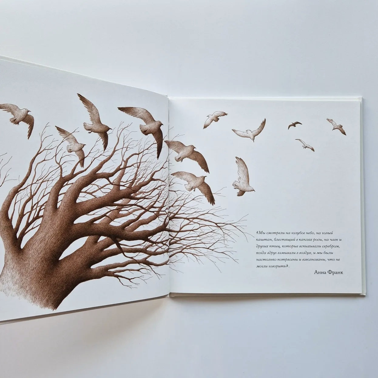 Дерево во дворе. Взгляд из окна Анны Франк