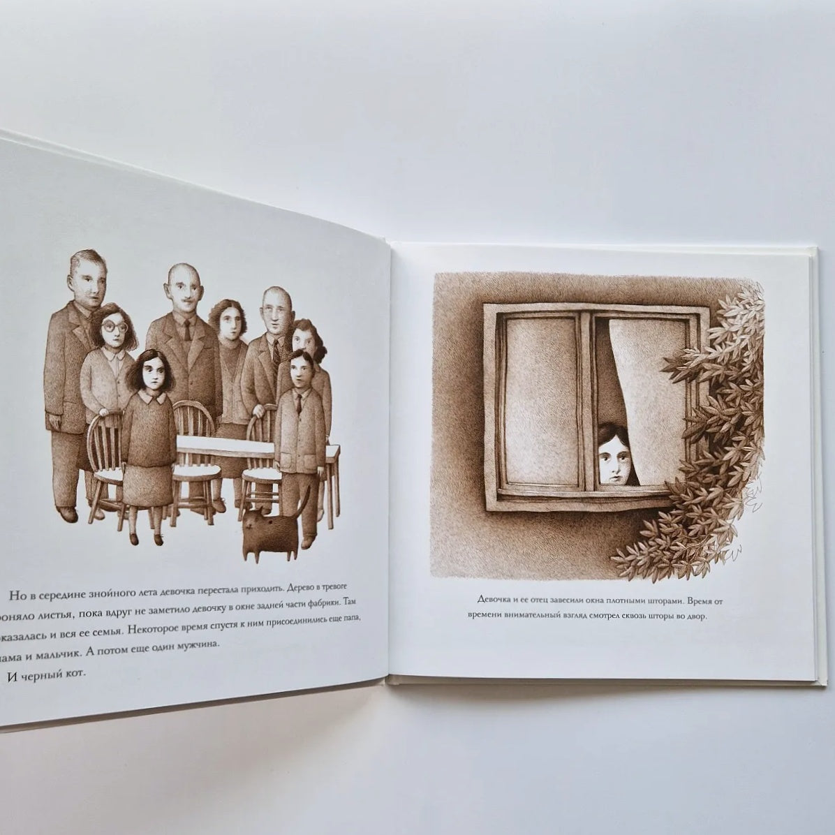 Дерево во дворе. Взгляд из окна Анны Франк