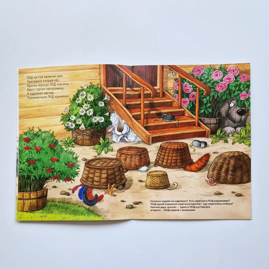 Цыплятки играют в прятки