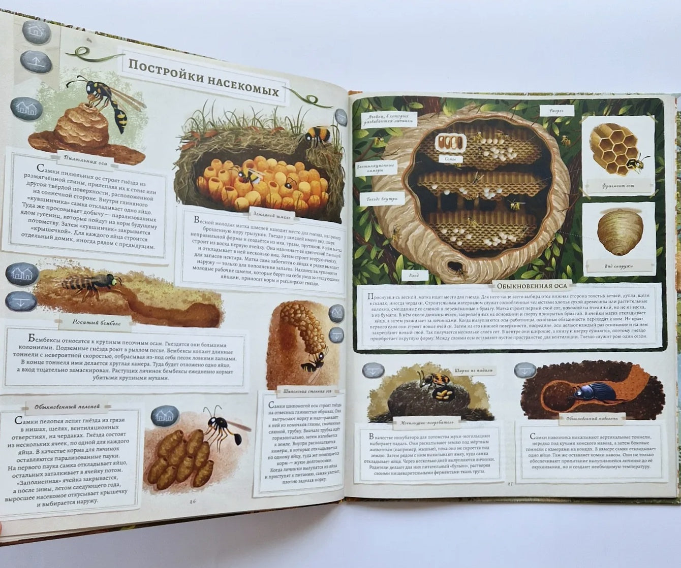 Animal Builders