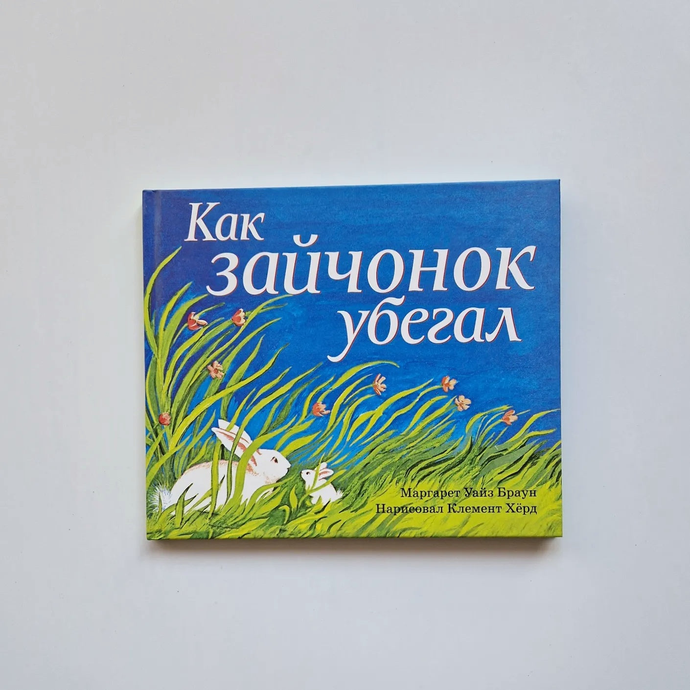 Как зайчонок убегал