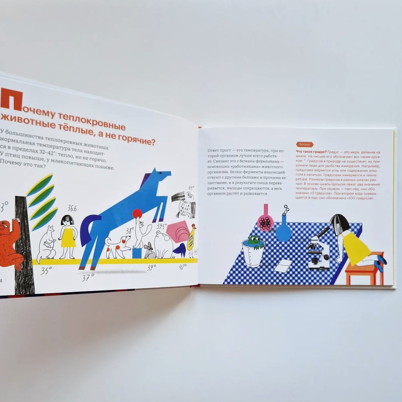 Куда скачет температура?