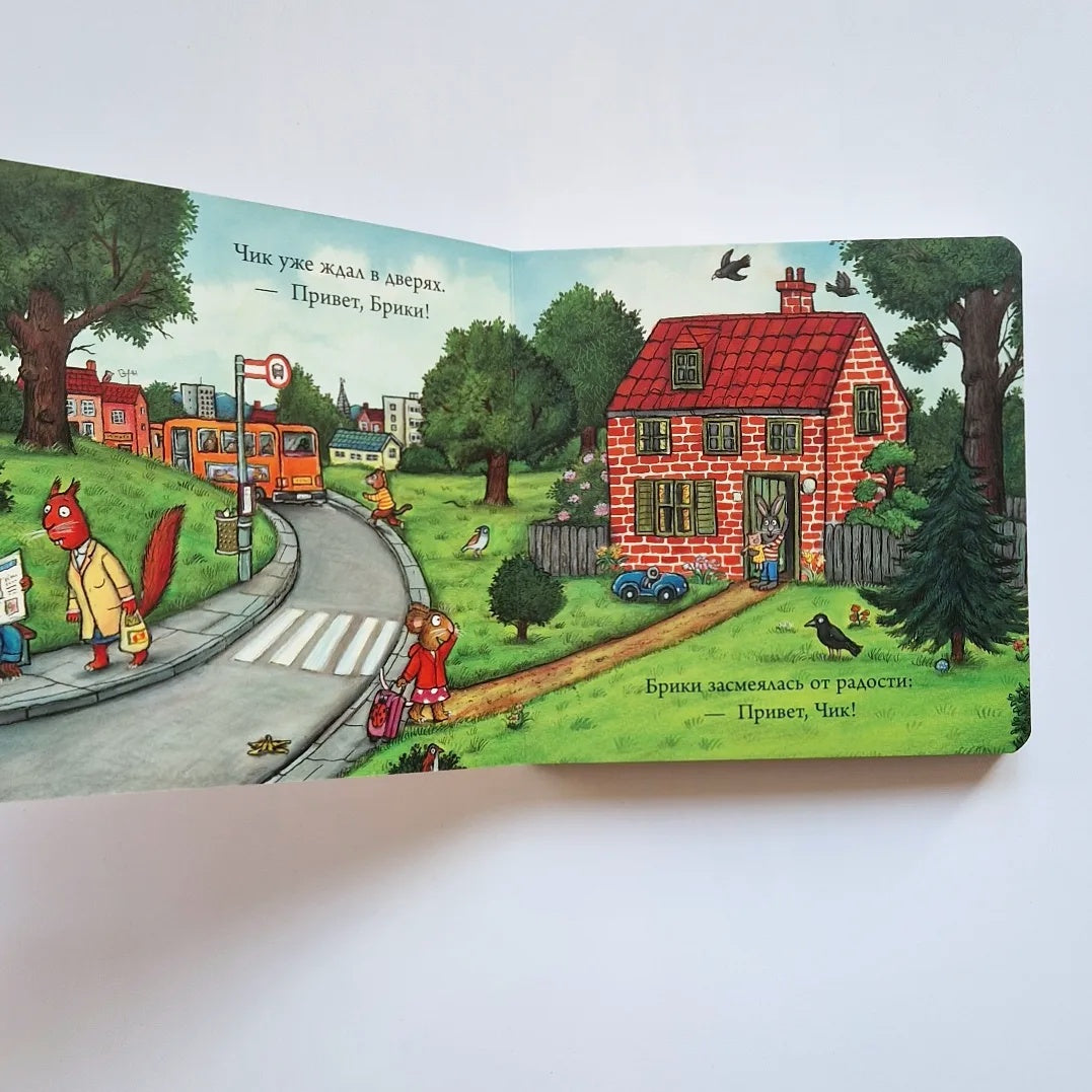 Чик и Брики. Любимый Лягушастик (книжка-картонка)