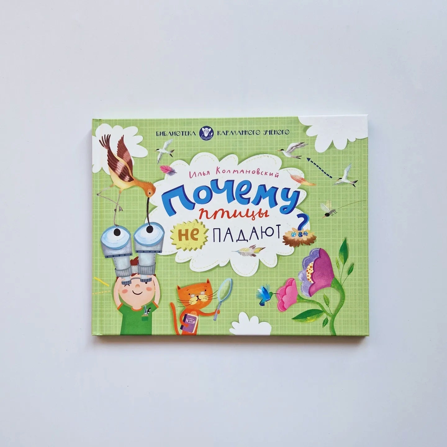 Почему птицы не падают?