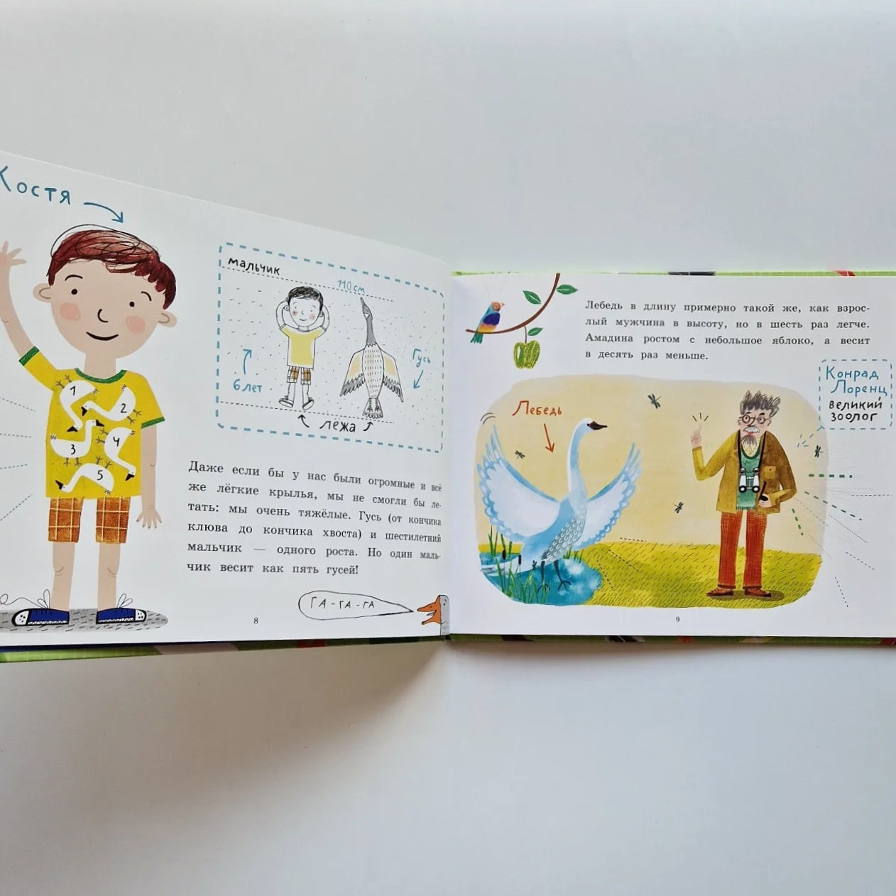 Почему птицы не падают?