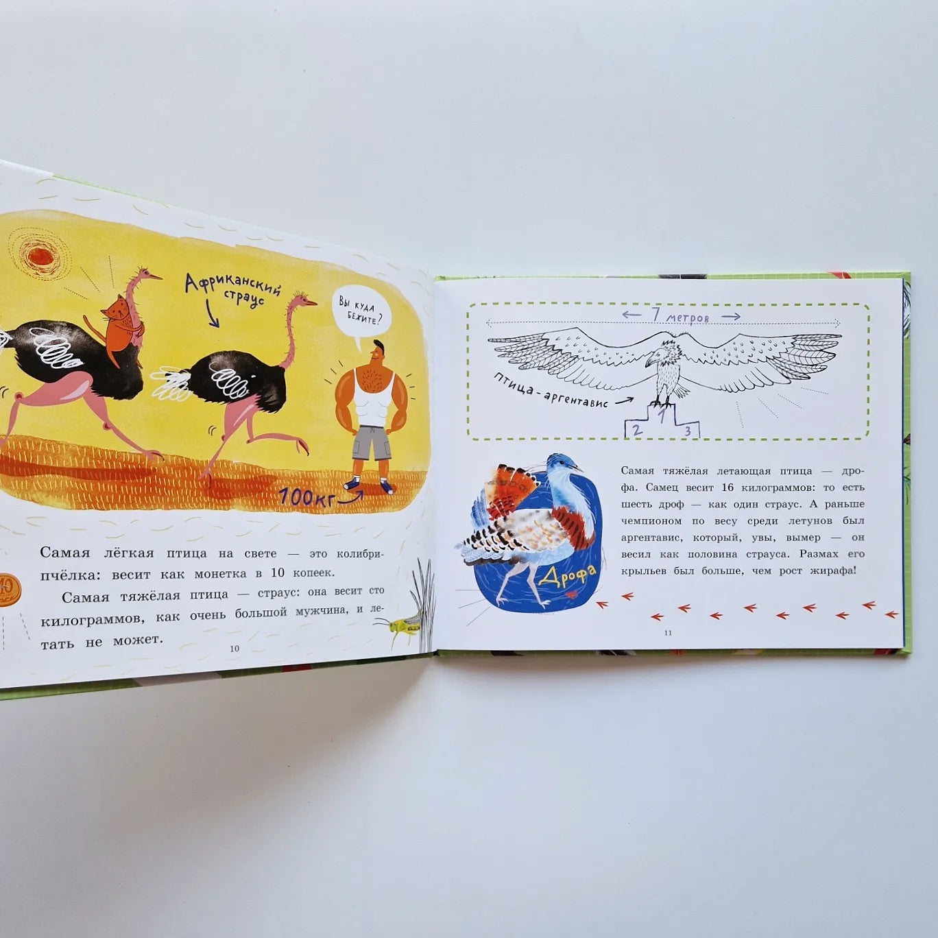 Почему птицы не падают?