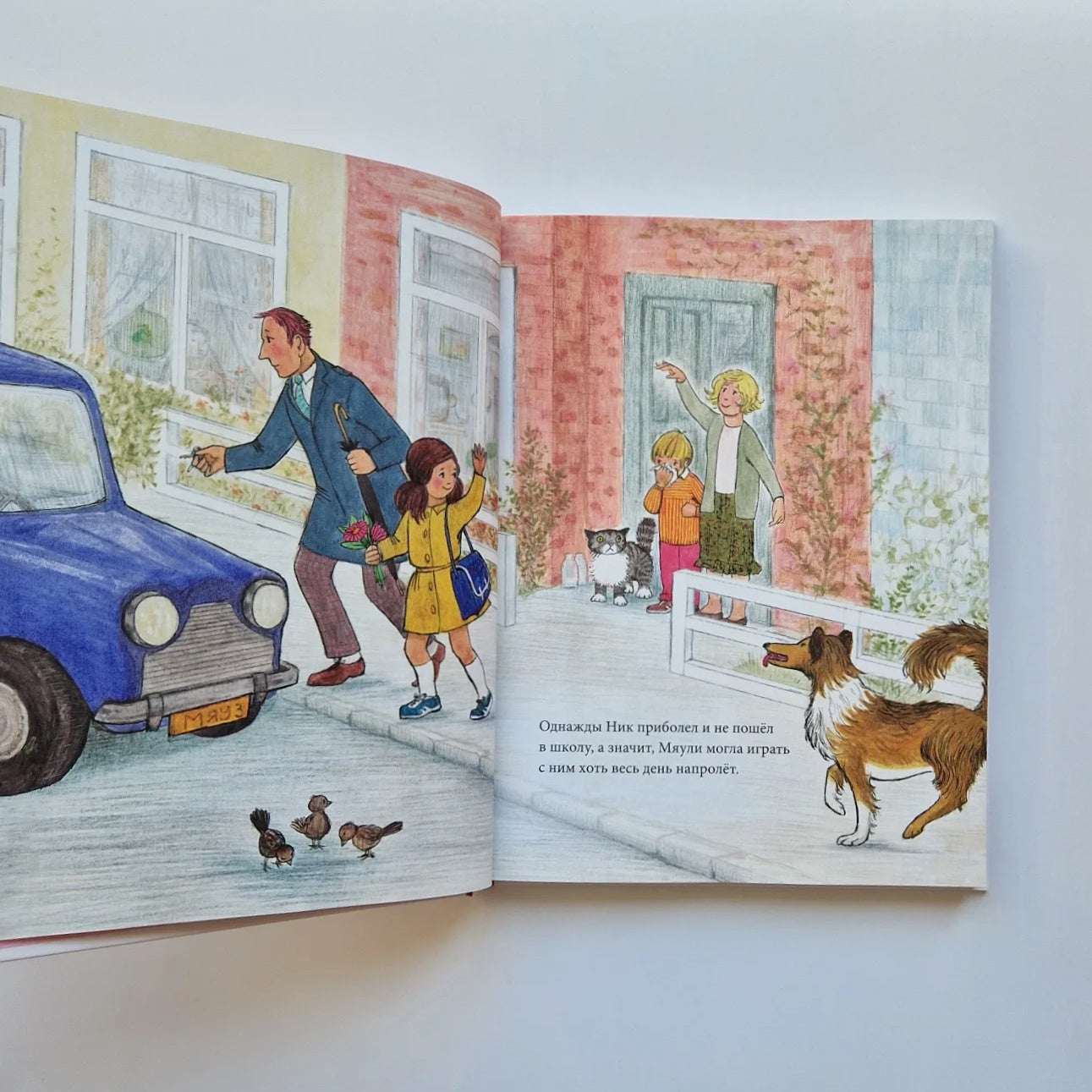 Мяули. Новые истории из жизни удивительной кошки