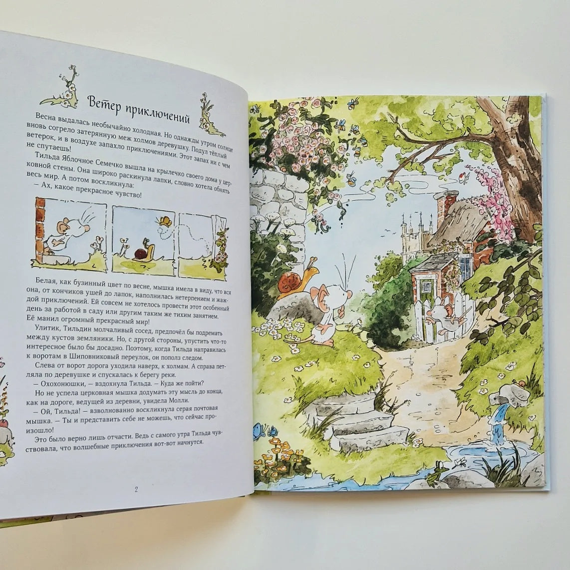 Тильда Яблочное Семечко. Ветер приключений