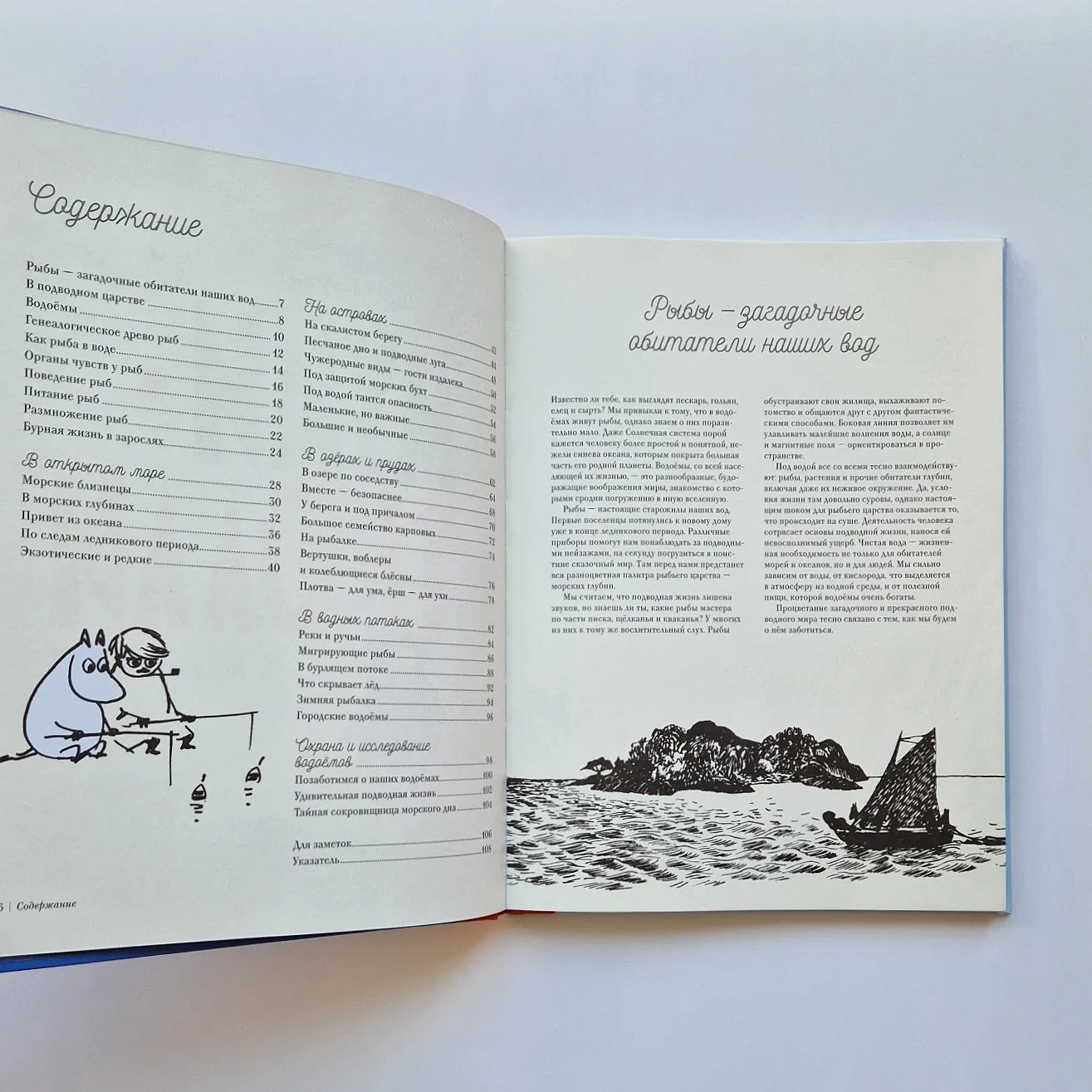 Moomins on a fishing trip