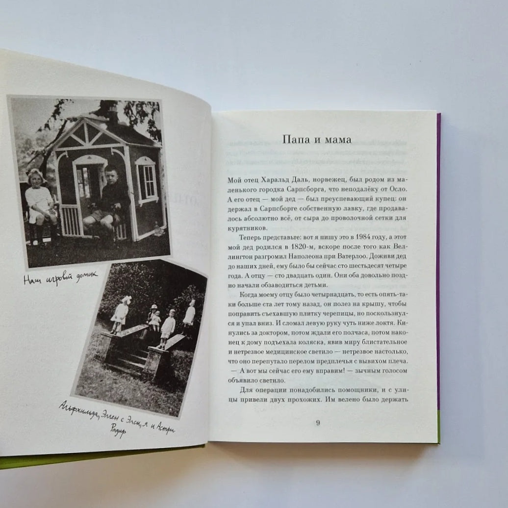 Мальчик. Рассказы о детстве