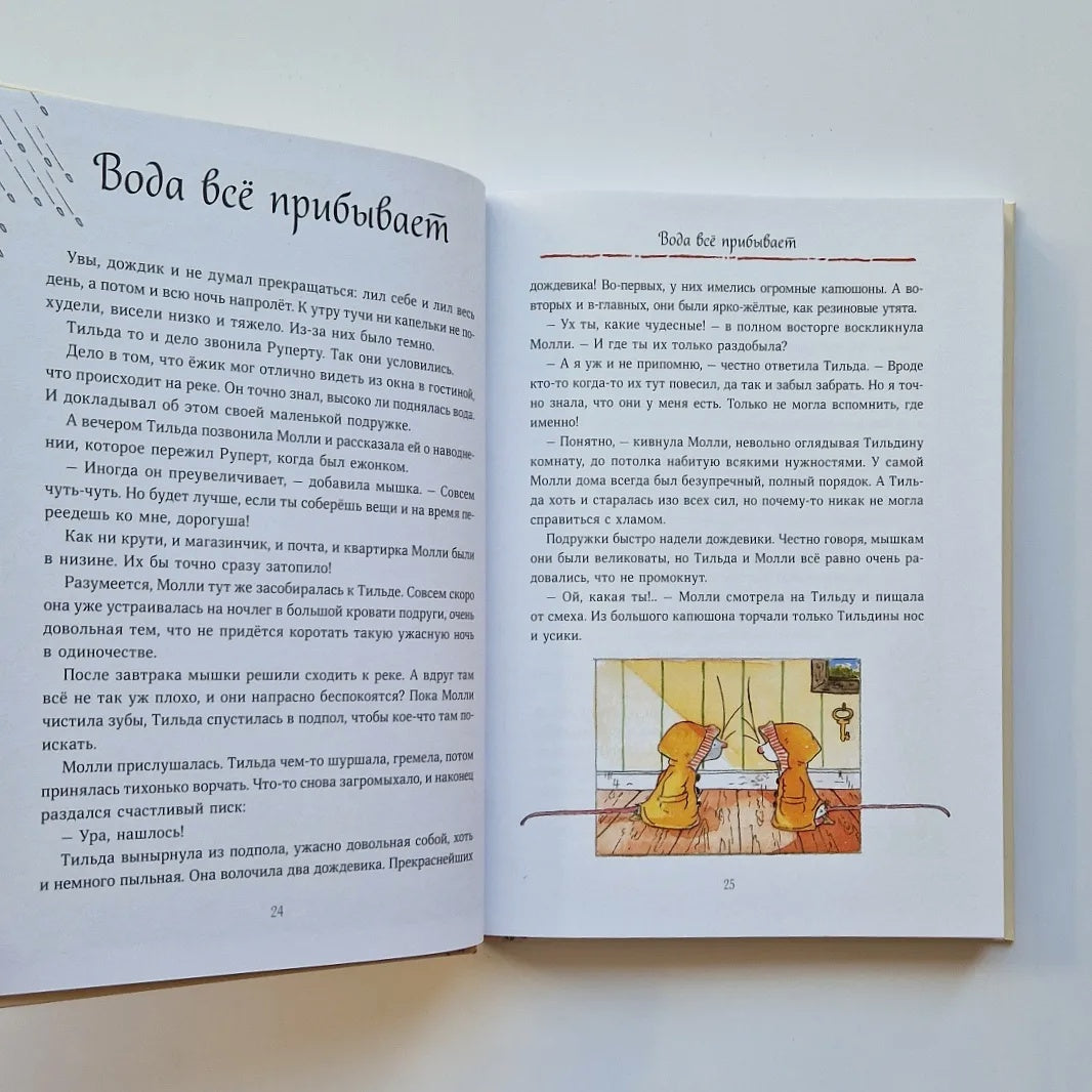 Тильда Яблочное Семечко. Чудесные истории из переулка, где растёт шиповник