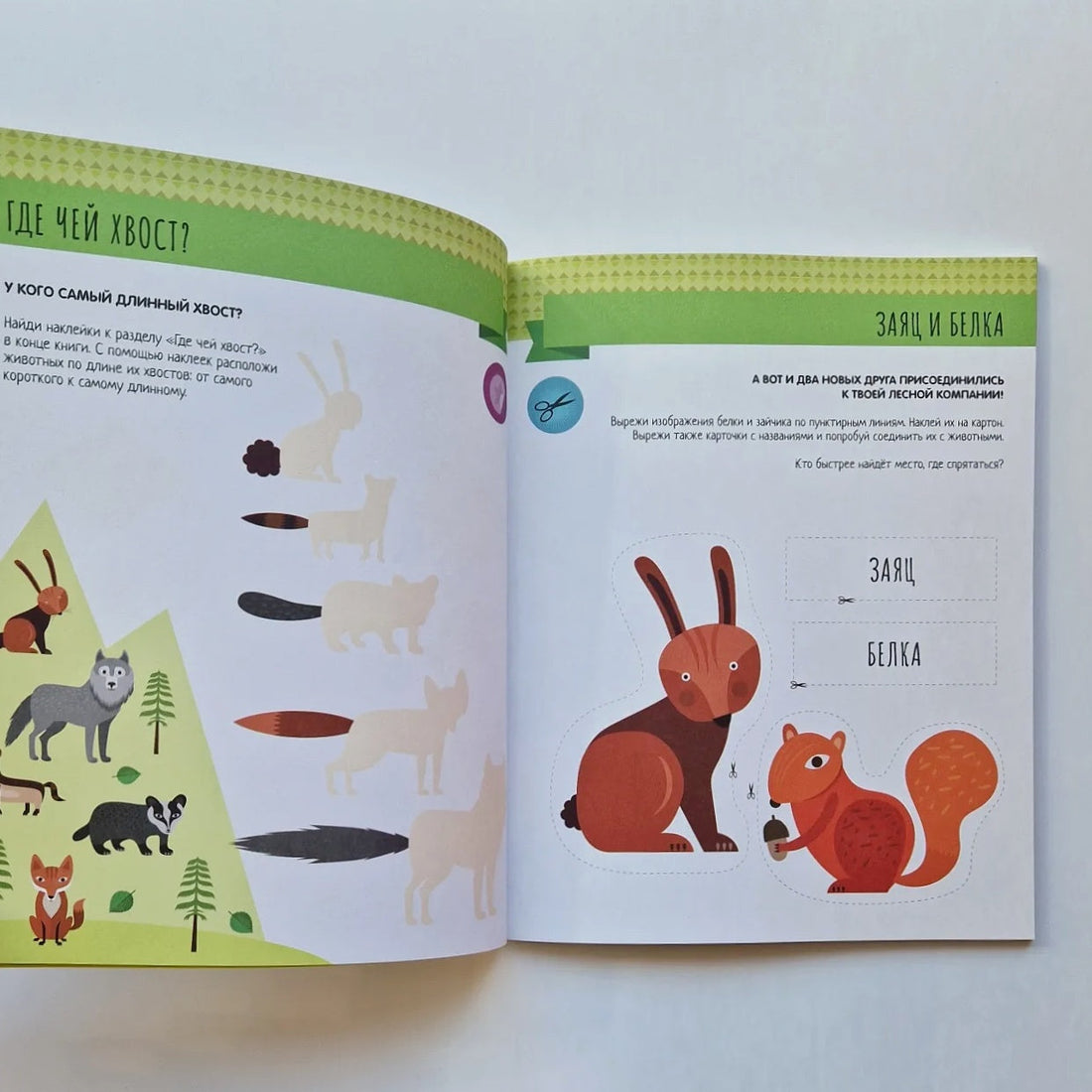 Montessori Method. In the Forest. Activity with Stickers. Development through Play