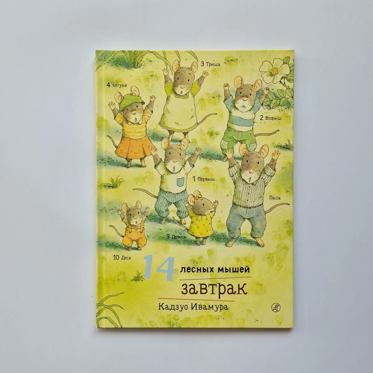 14 Wood Mice. Breakfast