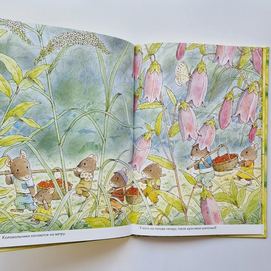 14 Wood Mice. Breakfast