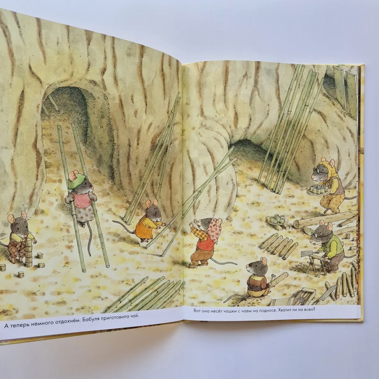 14 Wood Mice. Moving