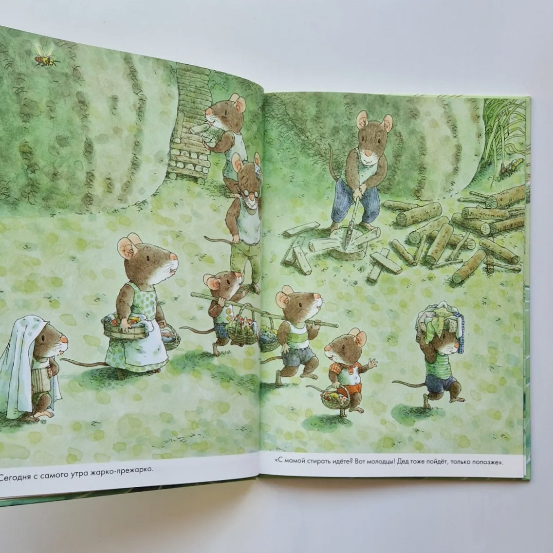 14 лесных мышей. Стирка