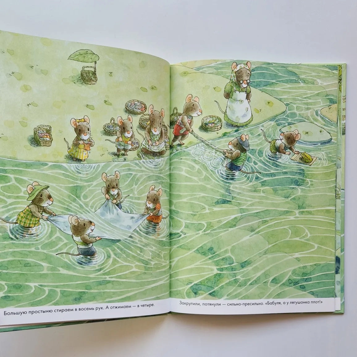 14 лесных мышей. Стирка