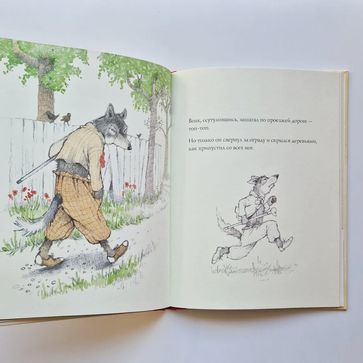 Красная шапочка