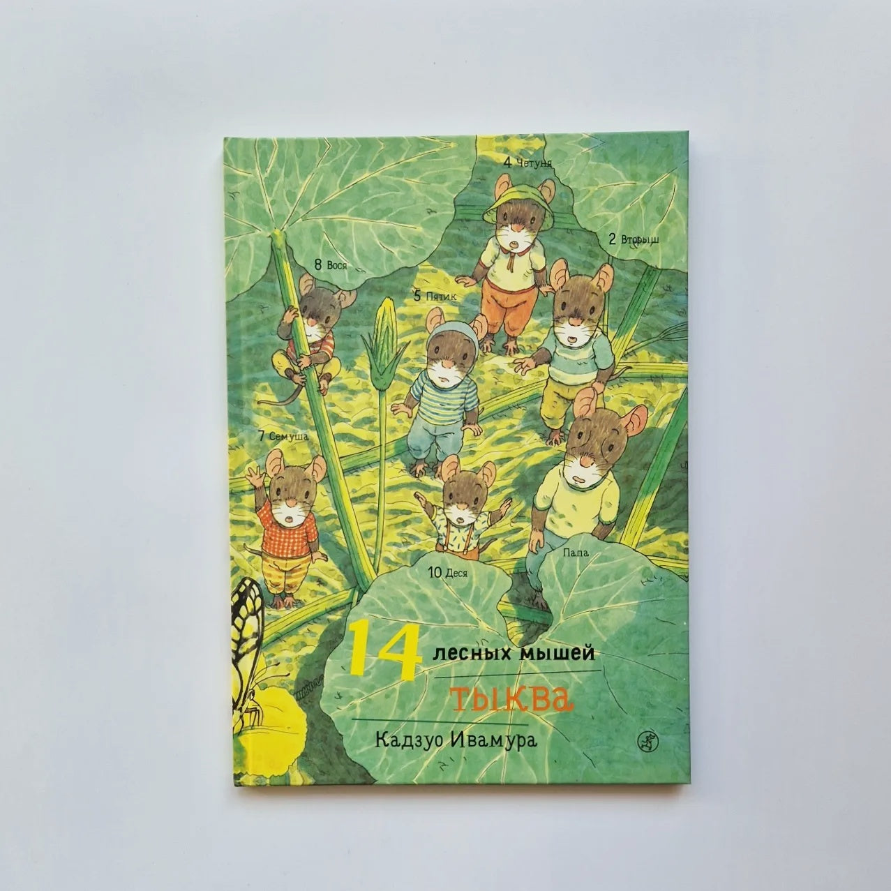 14 wood mice. Pumpkin