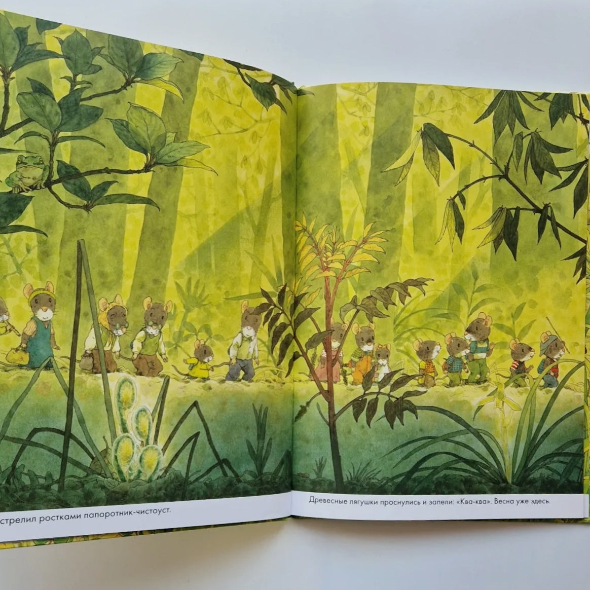 14 лесных мышей. Пикник