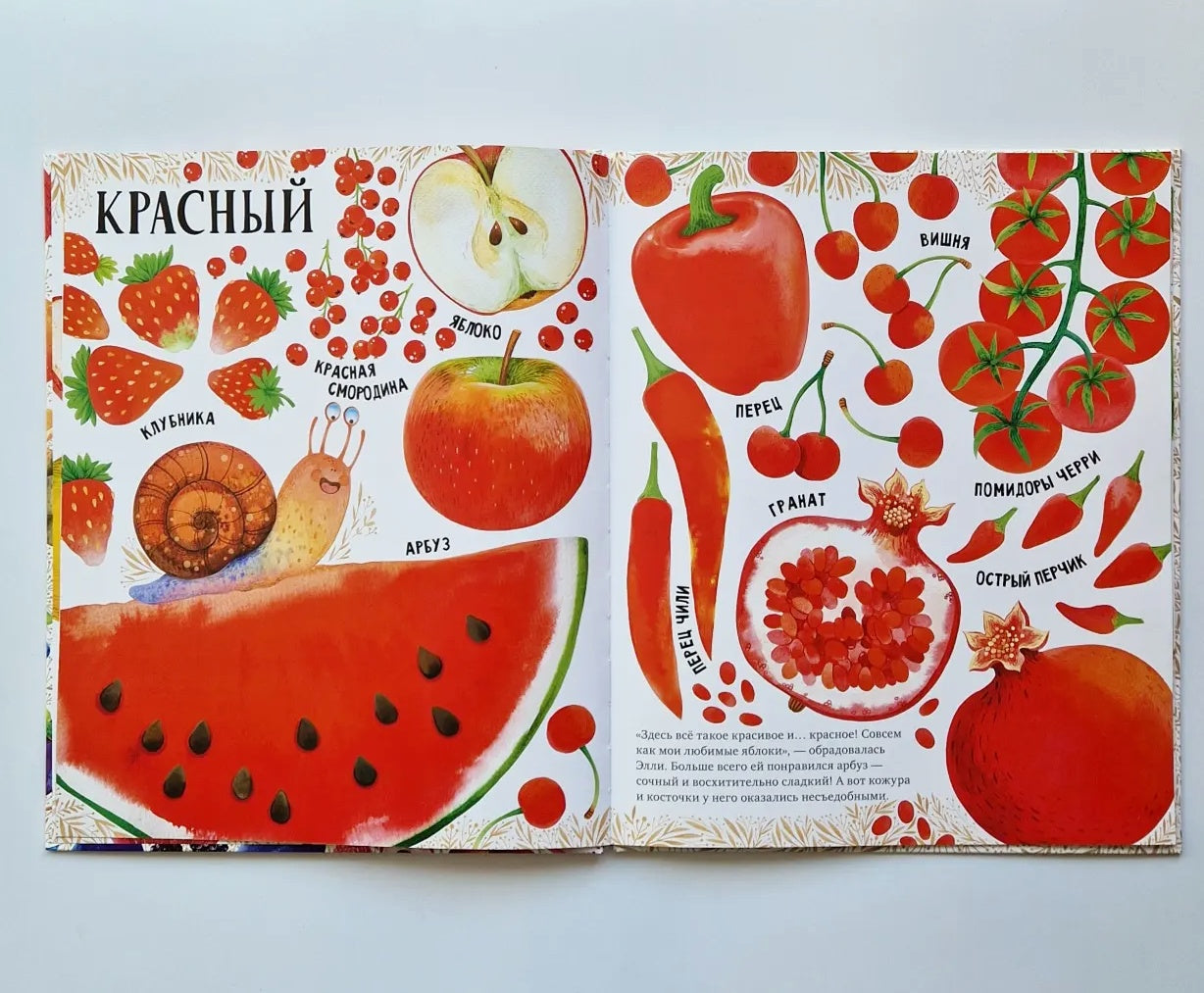 Приключения улитки Элли в мире фруктов и овощей