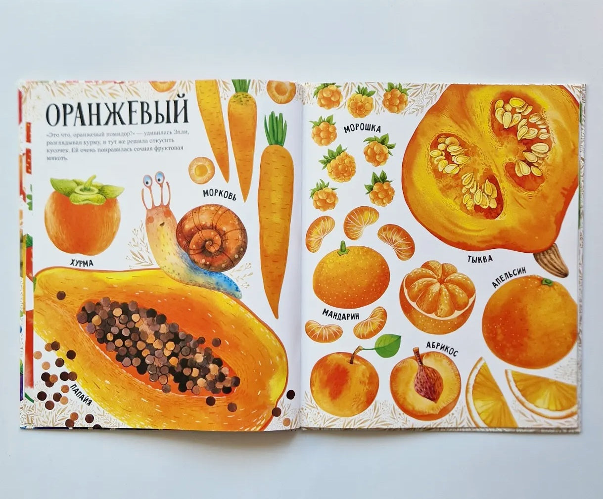 Приключения улитки Элли в мире фруктов и овощей