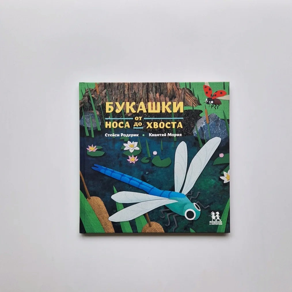 Птицы и букашки: от клюва до хвоста