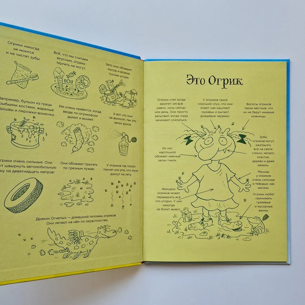 Огрики в детском саду