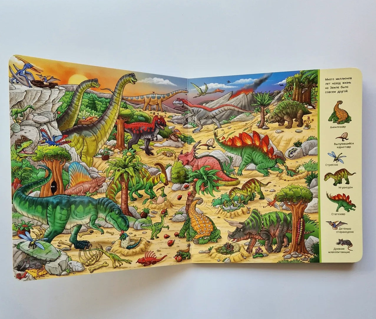 Dinosaurs. Find and show