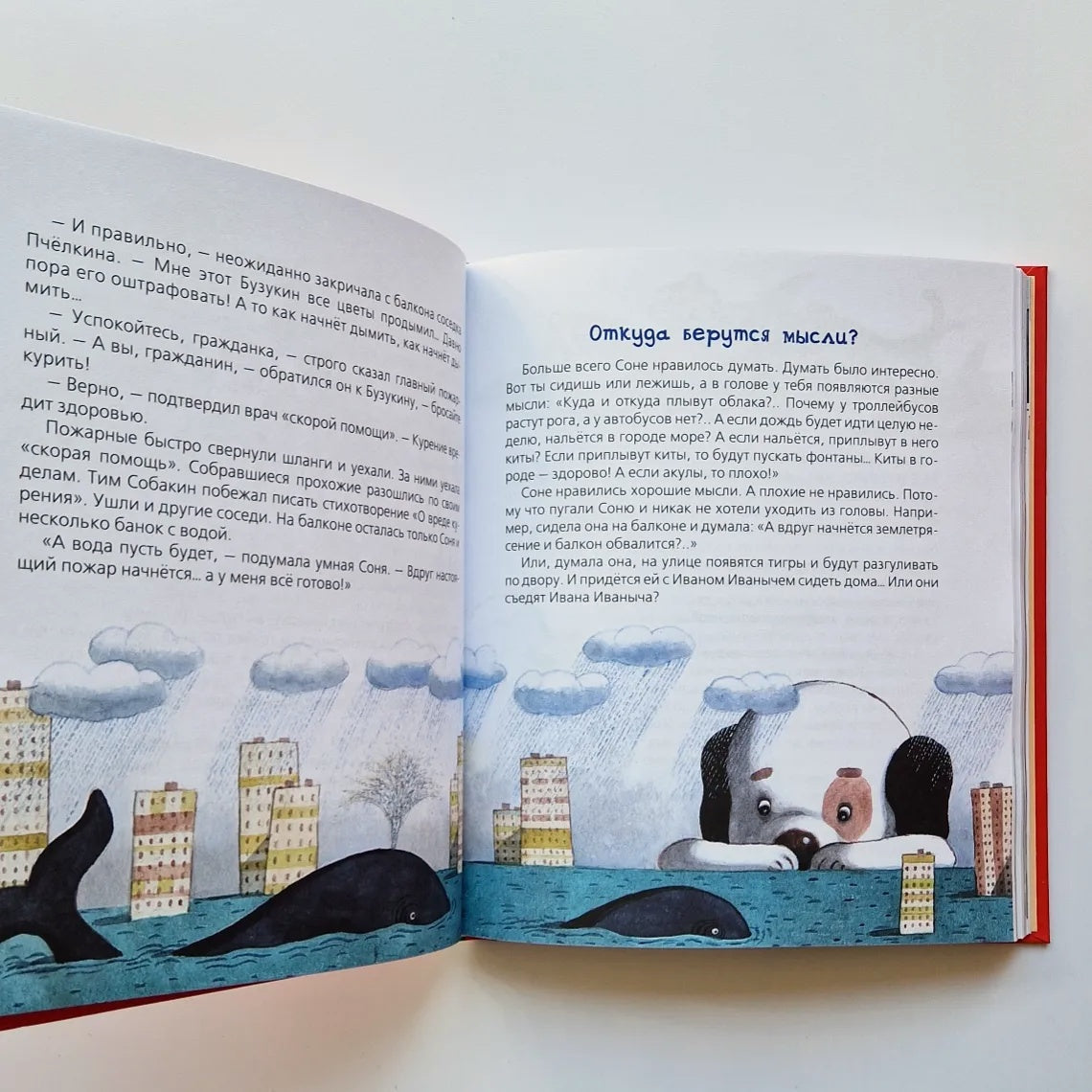 Все-все-все об умной собачке Соне