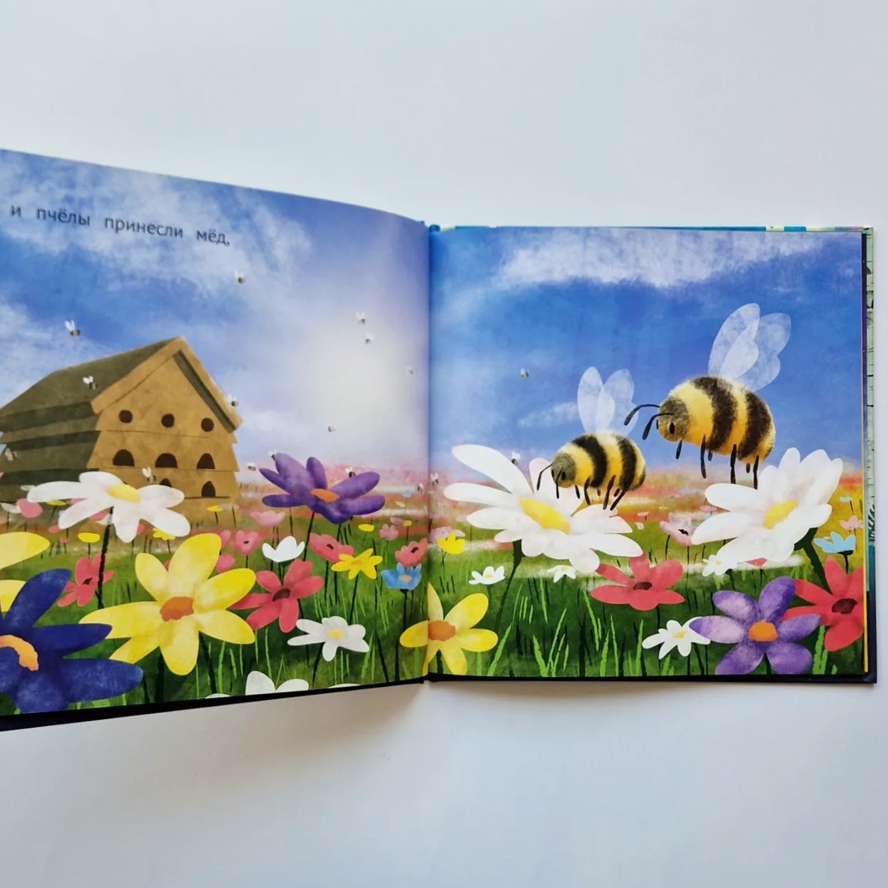 I have always loved you