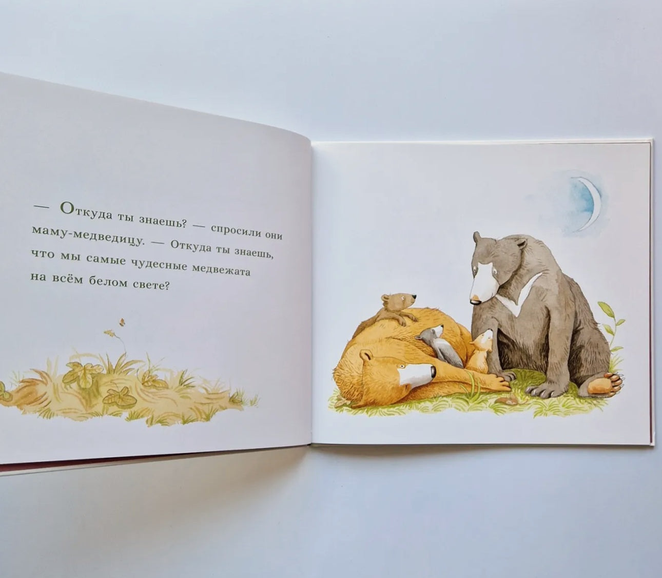 Все самые любимые