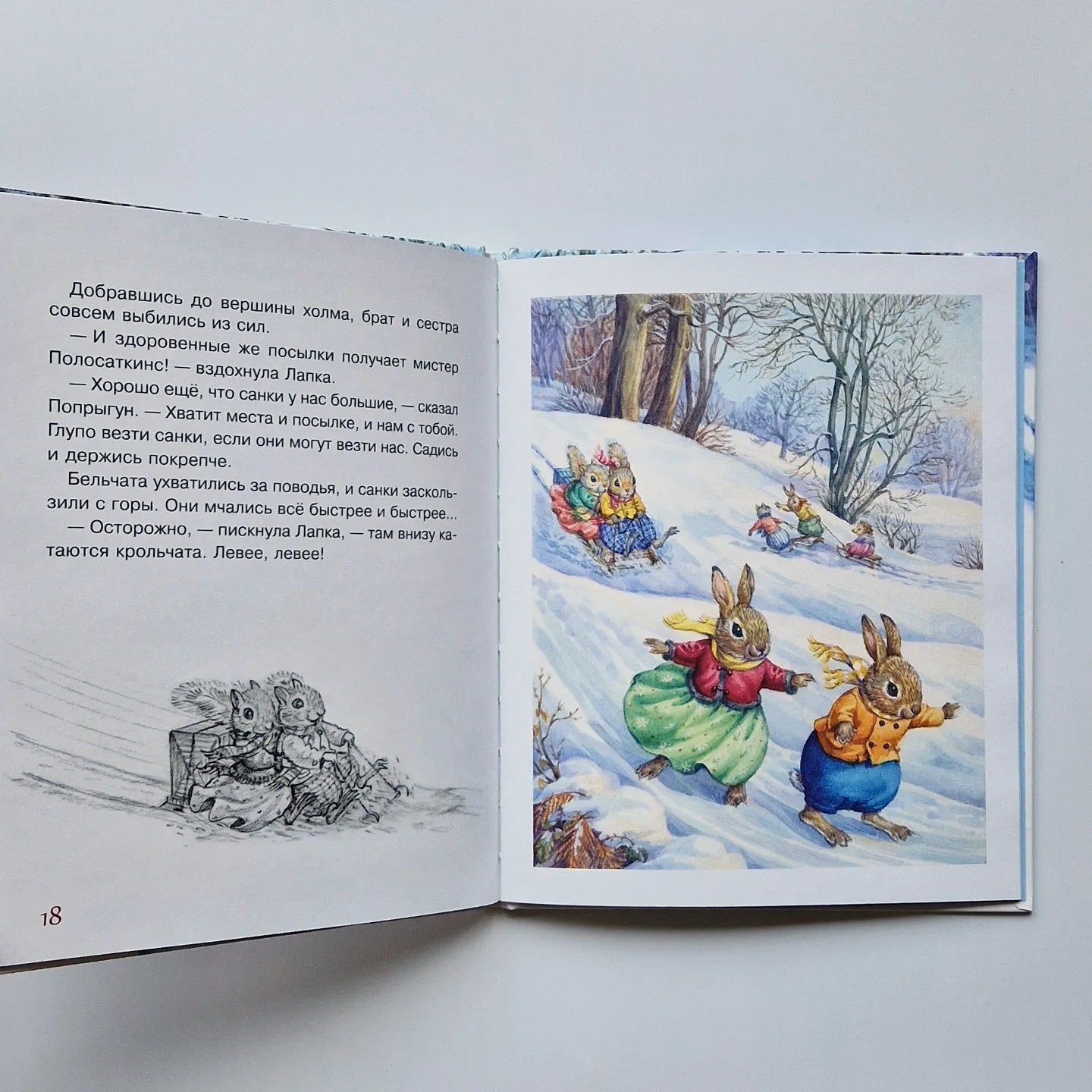 Adventures of a New Year's Parcel 