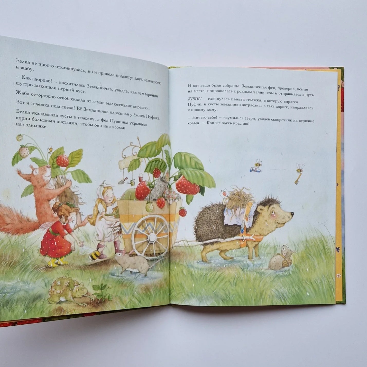 Strawberry Fairy. Adventures in the Sunny Forest 