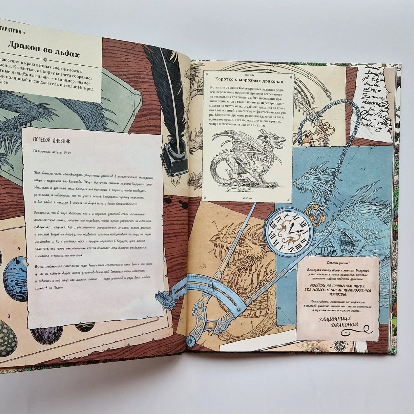 Драконы. Удивительные создания со всего света