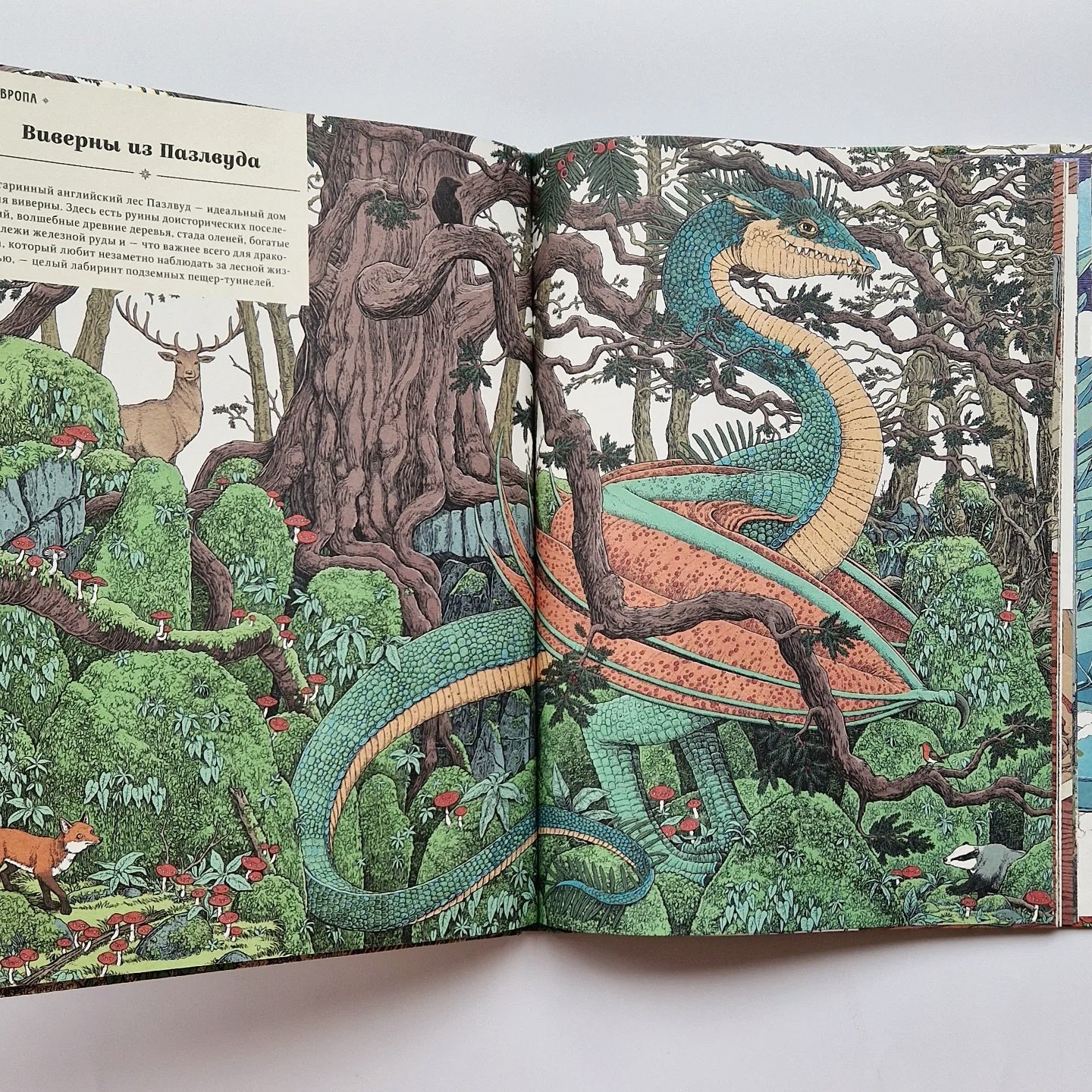 Драконы. Удивительные создания со всего света