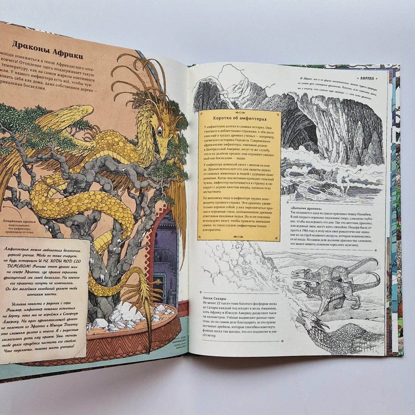 Драконы. Удивительные создания со всего света