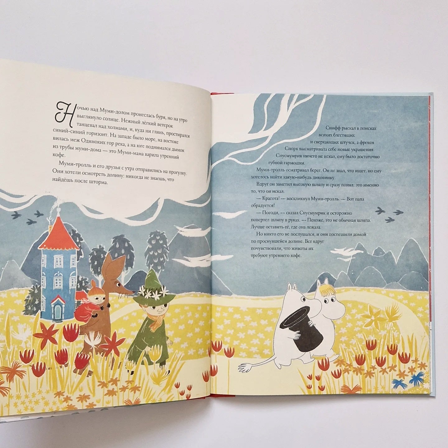 Moomins and the Wizard's Hat