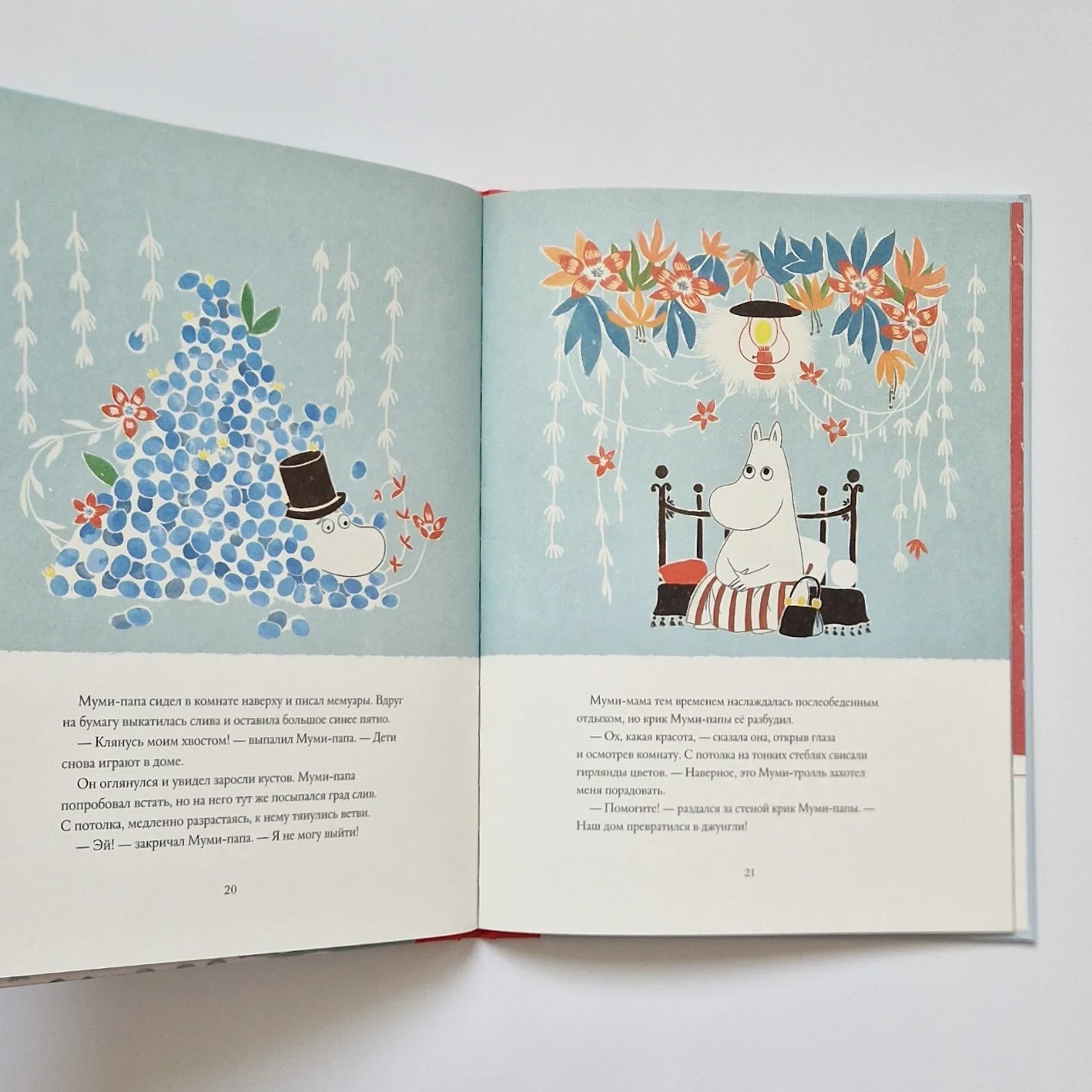 Moomins and the Wizard's Hat