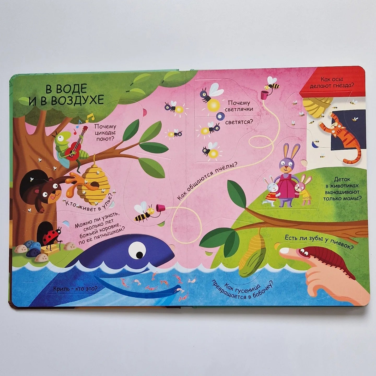 Микромир. Волшебные окошки